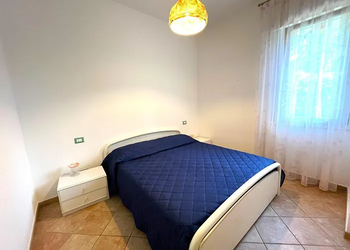 Dogi Nord F1 * 비비오네