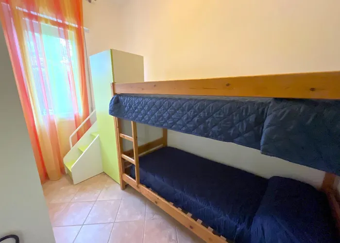 Dogi Nord F1 * 비비오네