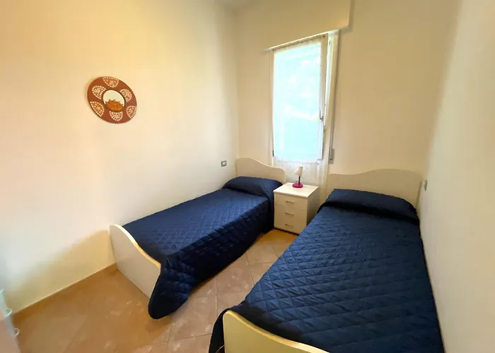 Dogi Nord F1 * 비비오네