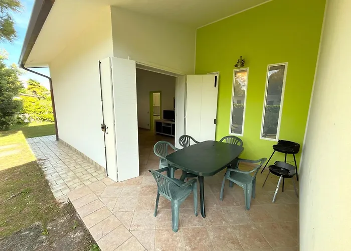 Dogi Nord F1 비비오네